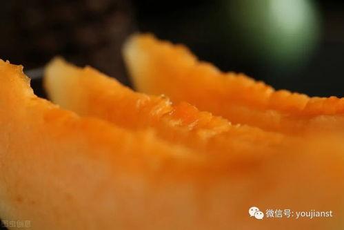 认真吃瓜网红图片,揭秘“认真吃瓜网红”的爆红之路