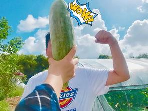 认真吃瓜网红图片,揭秘“认真吃瓜网红”的爆红之路 第2张 认真吃瓜网红图片,揭秘“认真吃瓜网红”的爆红之路 第2张