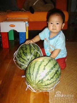 吃瓜网小鱼,娱乐圈幕后那些事儿  第3张