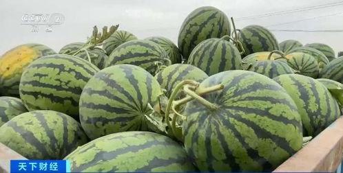 926吃瓜网,926吃瓜网带你领略明星幕后故事  第3张