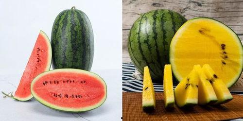 吃瓜网90cgcn,吃瓜网90cgcn带你领略新时代网络热点  第3张