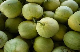 吃瓜官网是多少,带你探索网络世界的秘密花园  第2张