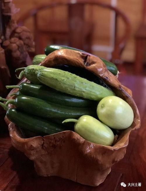 微信吃网红瓜群,网红瓜子的狂欢盛宴 第3张 微信吃网红瓜群,网红瓜子的狂欢盛宴 第3张