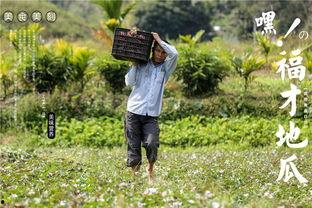 青青草网红吃瓜,揭秘娱乐圈幕后真相  第2张
