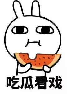 娱乐吃瓜酱外卖,带你尝鲜网红美食，轻松解锁味蕾新体验  第1张