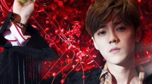 娱乐吃瓜猫鹿晗恋情官宣,娱乐圈新恋情引爆热议 第2张 娱乐吃瓜猫鹿晗恋情官宣,娱乐圈新恋情引爆热议 第2张