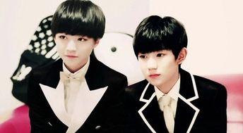 娱乐圈吃瓜王俊凯小说,揭秘明星背后的故事  第2张