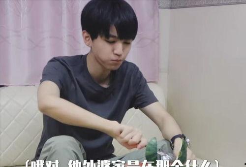 娱乐圈吃瓜王俊凯小说,揭秘明星背后的故事  第3张