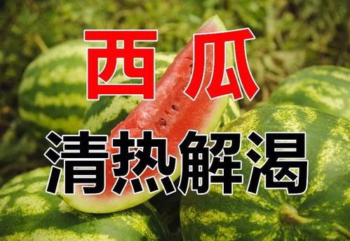 娱乐吃瓜酱过生日文案,一场欢乐与惊喜的盛宴 第2张 娱乐吃瓜酱过生日文案,一场欢乐与惊喜的盛宴 第2张