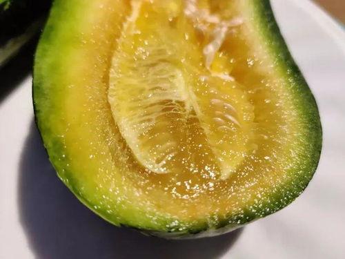 云兰吃瓜网,揭秘娱乐圈最新热点，带你畅游八卦海洋  第3张