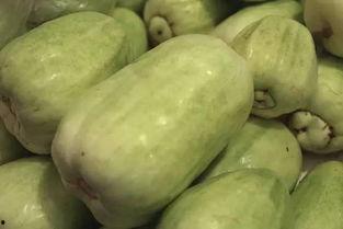 网上说的吃瓜什么意思,吃瓜背后的真相与趣味  第3张