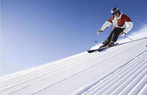 滑雪网红吃瓜视频,揭秘冬日娱乐新潮流