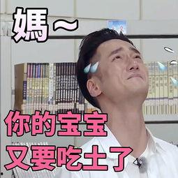 娱乐吃瓜表情图片大全集,带你领略网络搞笑瞬间  第3张